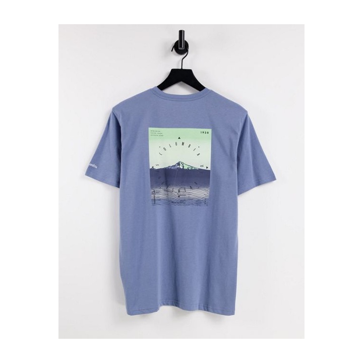 Blue crewneck with a rectangular landscape print.